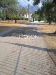 Οικόπεδο 500 τ.μ. για πώληση, Εύβοια, Ερέτρια-thumb-3