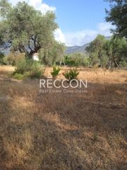 Οικόπεδο 500 τ.μ. για πώληση, Εύβοια, Ερέτρια-thumb-2