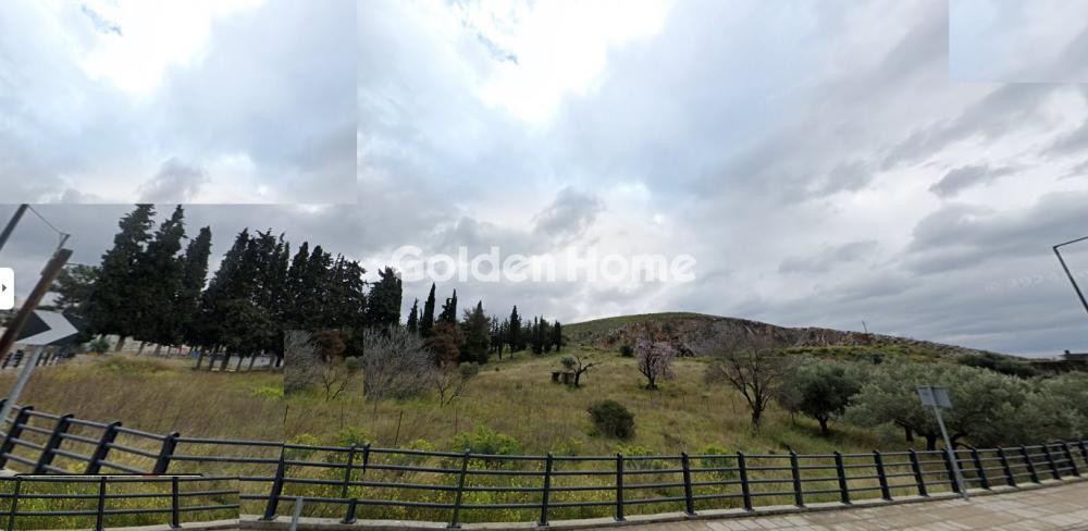 Αγροτεμάχια 6.238 τ.μ. προς πώληση, Αγ. Ιωάννης Χαλκίδας