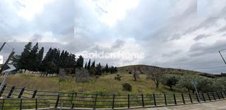 Αγροτεμάχια 6.238 τ.μ. για πώληση