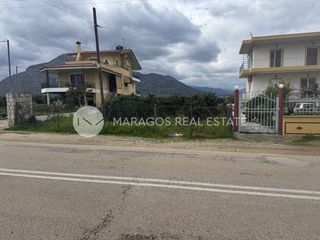 Αγροτεμάχια 7.700 τ.μ. για πώληση