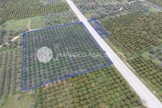 Αγροτεμάχια 11.543 τ.μ. προς πώληση, Αργολίδα, Μιδέα-thumb-8