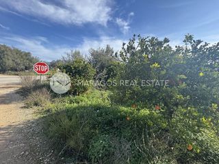 Αγροτεμάχια 11.543 τ.μ. προς πώληση, Αργολίδα, Μιδέα-thumb-17