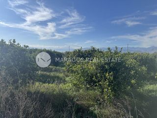 Αγροτεμάχια 11.543 τ.μ. προς πώληση, Αργολίδα, Μιδέα-thumb-20
