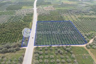 Αγροτεμάχια 11.543 τ.μ. προς πώληση, Αργολίδα, Μιδέα-thumb-3