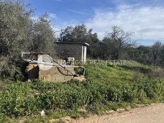Αγροτεμάχια 11.543 τ.μ. προς πώληση, Αργολίδα, Μιδέα-thumb-23