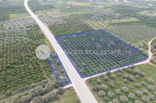 Αγροτεμάχια 11.543 τ.μ. προς πώληση, Αργολίδα, Μιδέα-thumb-2