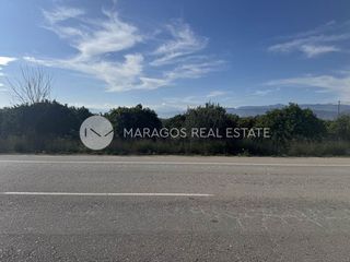 Αγροτεμάχια 11.543 τ.μ. προς πώληση, Αργολίδα, Μιδέα-thumb-18