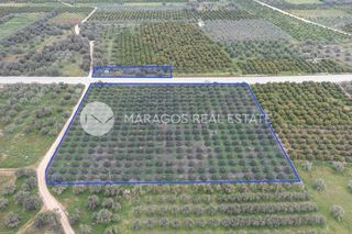 Αγροτεμάχια 11.543 τ.μ. προς πώληση, Αργολίδα, Μιδέα-thumb-6