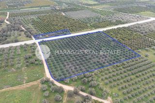 Αγροτεμάχια 11.543 τ.μ. προς πώληση, Αργολίδα, Μιδέα-thumb-5