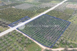 Αγροτεμάχια 11.543 τ.μ. προς πώληση, Αργολίδα, Μιδέα-thumb-4