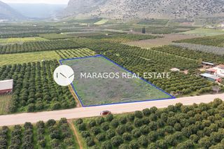 Αγροτεμάχια 5.522 τ.μ. για πώληση