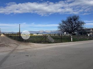 Αγροτεμάχια 8.300 τ.μ. προς πώληση, Άκοβα-thumb-21