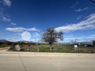 Αγροτεμάχια 8.300 τ.μ. προς πώληση, Άκοβα-thumb-11