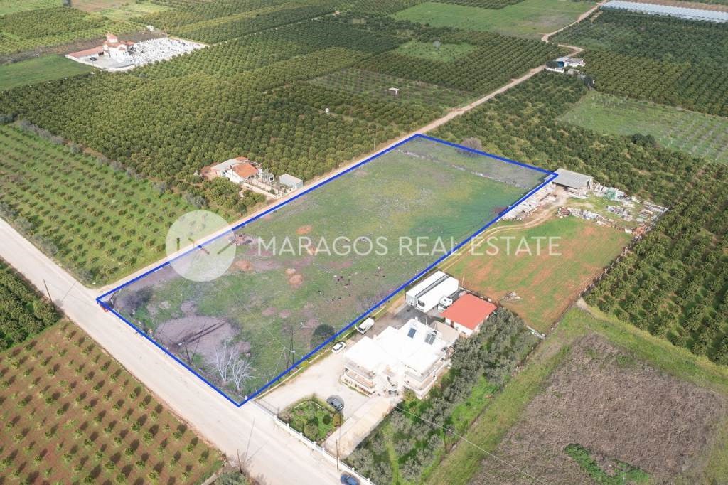 Αγροτεμάχια 8.300 τ.μ. προς πώληση, Άκοβα