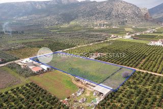 Αγροτεμάχια 8.300 τ.μ. προς πώληση, Άκοβα-thumb-6