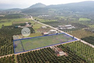 Αγροτεμάχια 8.300 τ.μ. προς πώληση, Άκοβα-thumb-9