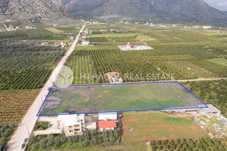 Αγροτεμάχια 8.300 τ.μ. προς πώληση, Άκοβα-thumb-3