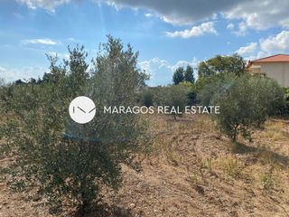 Οικόπεδο 4.617 τ.μ. για πώληση, Αργολίδα, Άργος-thumb-18