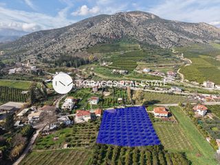 Οικόπεδο 4.617 τ.μ. για πώληση, Αργολίδα, Άργος-thumb-2