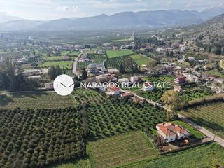 Οικόπεδο 4.617 τ.μ. για πώληση, Αργολίδα, Άργος-thumb-22
