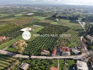 Οικόπεδο 4.617 τ.μ. για πώληση, Αργολίδα, Άργος-thumb-24