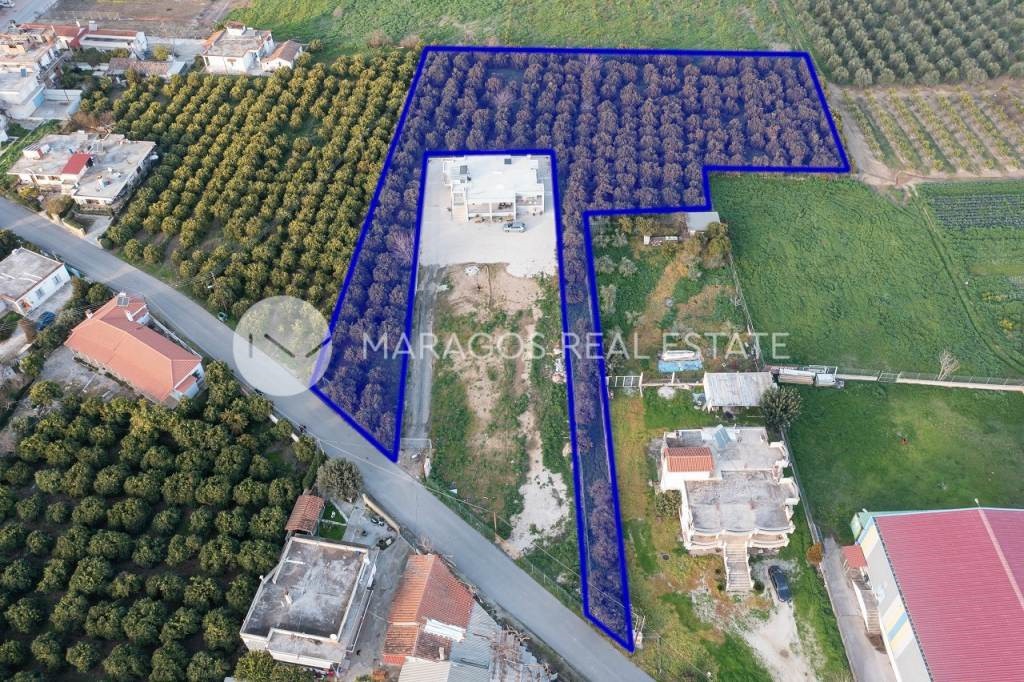 Οικόπεδο 5.669,27 τ.μ. για πώληση, Αργολίδα, Άργος