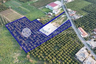 Οικόπεδο 5.669,27 τ.μ. για πώληση, Αργολίδα, Άργος-thumb-5