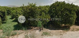 Οικόπεδο 5.669,27 τ.μ. για πώληση, Αργολίδα, Άργος-thumb-10