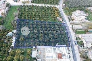 Οικόπεδο 2.000 τ.μ. για πώληση, Αργολίδα, Άργος-thumb-7