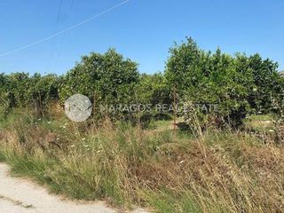 Οικόπεδο 2.000 τ.μ. για πώληση, Αργολίδα, Άργος-thumb-12