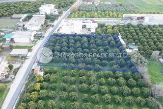 Οικόπεδο 2.000 τ.μ. για πώληση, Αργολίδα, Άργος-thumb-2