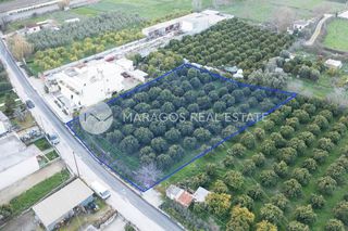 Οικόπεδο 2.000 τ.μ. για πώληση, Αργολίδα, Άργος-thumb-1