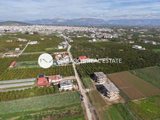 Μονοκατοικία 360 τ.μ. για πώληση, Αργολίδα, Άργος-thumb-23
