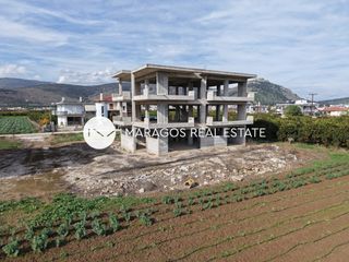 Μονοκατοικία 360 τ.μ. για πώληση, Αργολίδα, Άργος-thumb-6