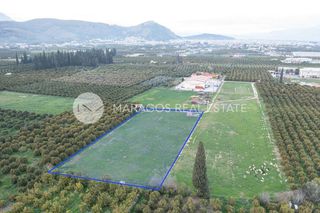 Αγροτεμάχια 4.500 τ.μ. για πώληση, Αργολίδα, Άργος-thumb-5