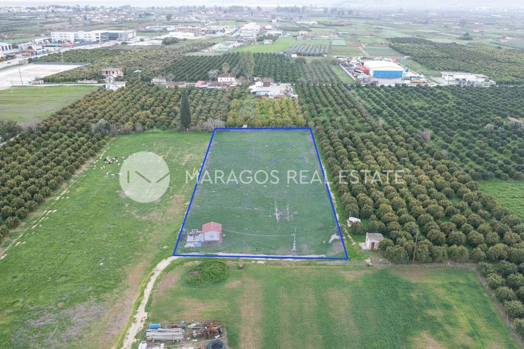 Αγροτεμάχια 4.500 τ.μ. για πώληση, Αργολίδα, Άργος