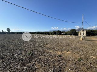 Αγροτεμάχια 4.500 τ.μ. για πώληση, Αργολίδα, Άργος-thumb-11