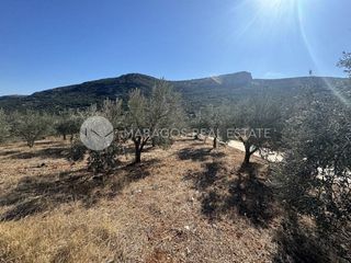 Αγροτεμάχια 6.000 τ.μ. προς πώληση, Καρυά Λυρκείας-thumb-1