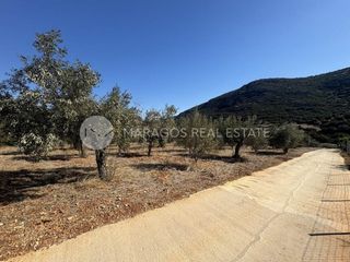 Αγροτεμάχια 6.000 τ.μ. προς πώληση, Καρυά Λυρκείας-thumb-12