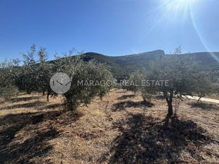 Αγροτεμάχια 6.000 τ.μ. προς πώληση, Καρυά Λυρκείας-thumb-2