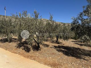 Αγροτεμάχια 6.000 τ.μ. προς πώληση, Καρυά Λυρκείας-thumb-10