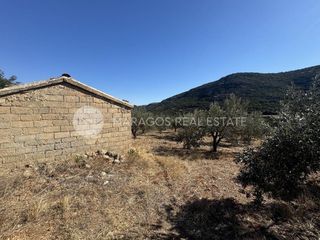Αγροτεμάχια 6.000 τ.μ. προς πώληση, Καρυά Λυρκείας-thumb-11