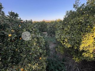 Αγροτεμάχια 12.000 τ.μ. για πώληση, Αργολίδα, Άργος-thumb-15