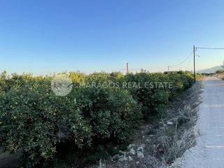 Αγροτεμάχια 12.000 τ.μ. για πώληση, Αργολίδα, Άργος-thumb-8