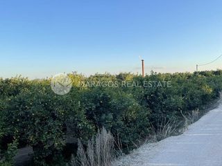 Αγροτεμάχια 12.000 τ.μ. για πώληση, Αργολίδα, Άργος-thumb-6
