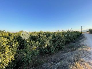 Αγροτεμάχια 12.000 τ.μ. για πώληση, Αργολίδα, Άργος-thumb-2