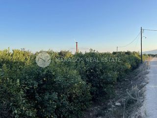 Αγροτεμάχια 12.000 τ.μ. για πώληση, Αργολίδα, Άργος-thumb-10
