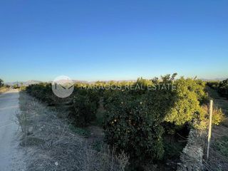 Αγροτεμάχια 12.000 τ.μ. για πώληση, Αργολίδα, Άργος-thumb-14