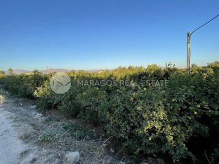 Αγροτεμάχια 12.000 τ.μ. για πώληση, Αργολίδα, Άργος-thumb-13